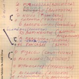Appunti di Fabrizio De André preparatori alla stesura di Prinçesa (Fondazione Fabrizio De André Onlus)