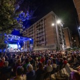 Il pubblico
